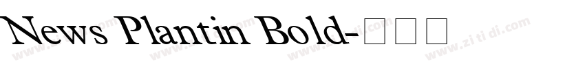 News Plantin Bold字体转换